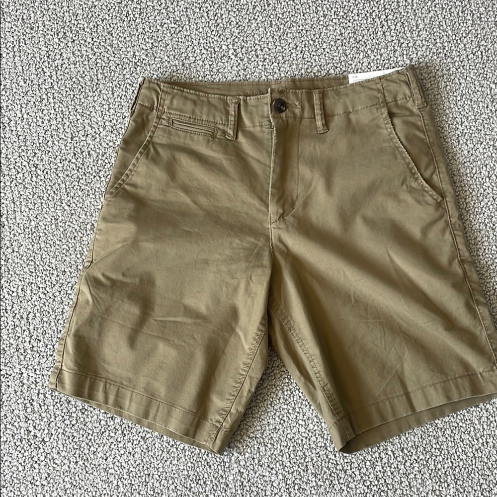 American Eagle Outfitters Tan Flat Front Chino Shorts